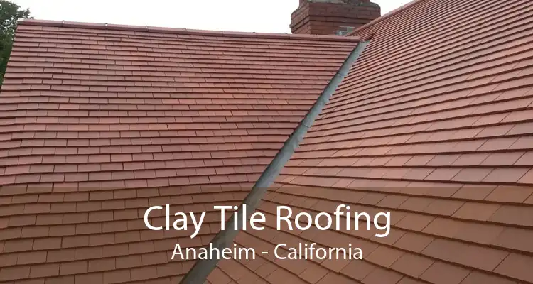 Clay Tile Roofing Anaheim - California