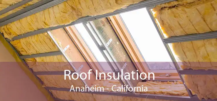 Roof Insulation Anaheim - California