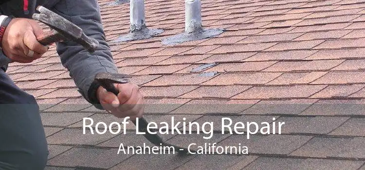 Roof Leaking Repair Anaheim - California