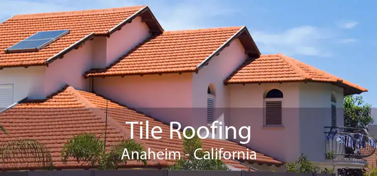 Tile Roofing Anaheim - California