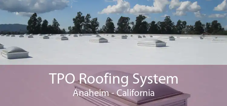 TPO Roofing System Anaheim - California